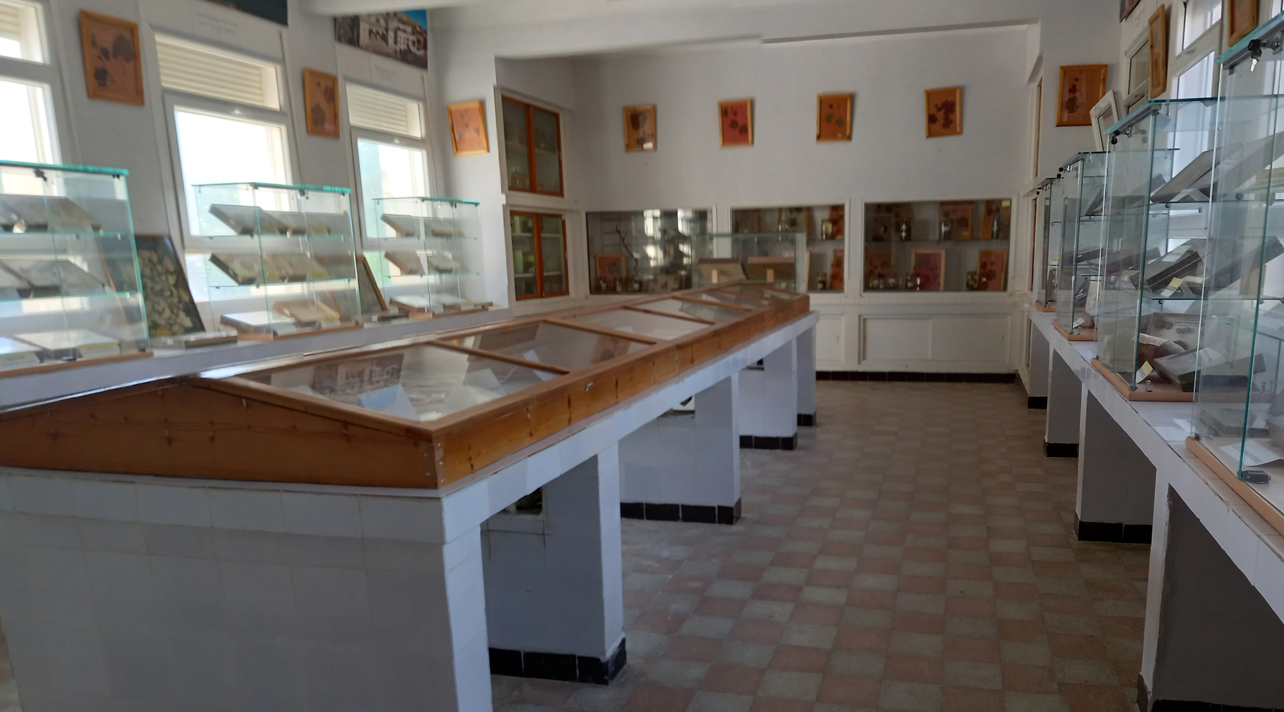 Image de l'université